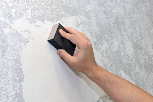 Best Mold-Related Health Consultation  in Loganville, PA