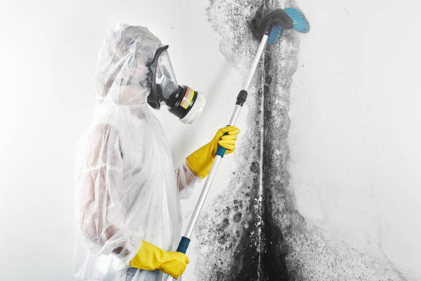 Best Mold Prevention Services  in Loganville, PA