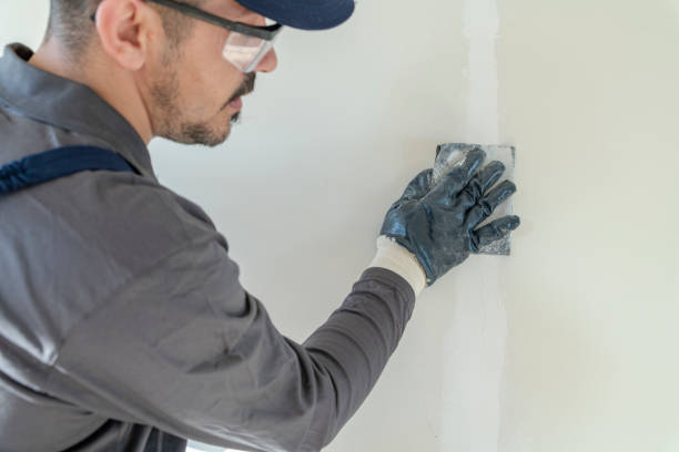 Professional Mold Removal in Loganville, PA
