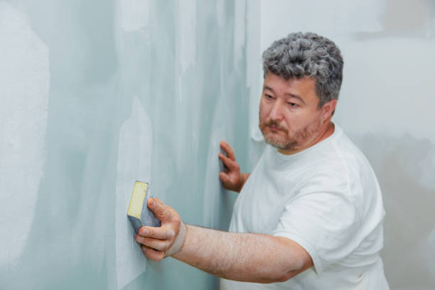 Best Mold Odor Removal Services  in Loganville, PA