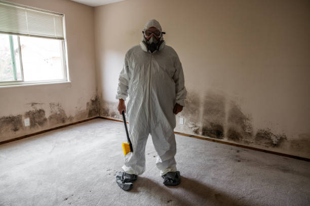 Best Basement Mold Removal  in Loganville, PA